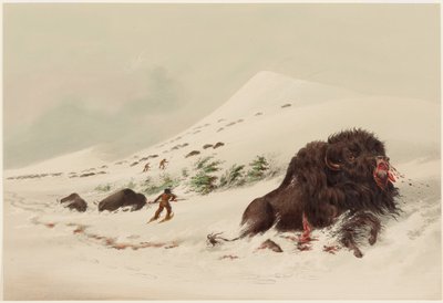 Buffalo Hunt, Dying Buffalo Bull, in Snow Drift by George Catlin