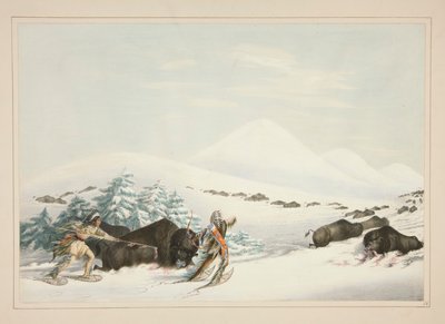 Buffalo Hunt, On Snow Shoes, plate 15 from the North American Indian Portfolio by George Catlin
