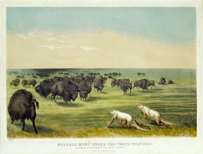 Buffalo Hunt under the White Wolf Skin by George Catlin