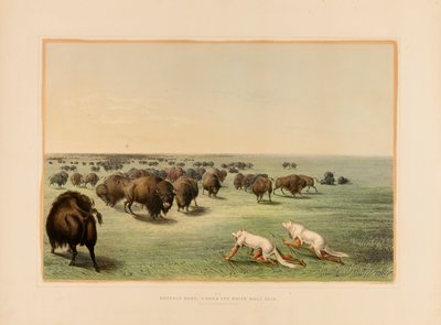 Buffalo Hunt, under the White Wolfskin--no. 13 by George Catlin