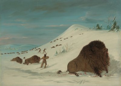 Buffalo Lancing in the Snow Drifts - Sioux by George Catlin