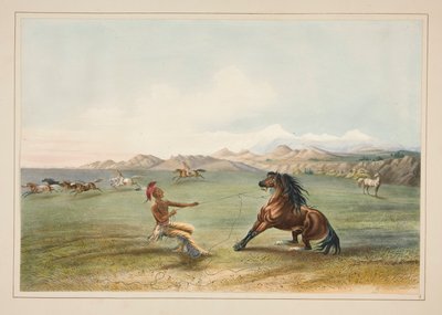 Catching the Wild Horse, plate 4 from the North American Indian Portfolio by George Catlin