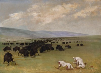 Catlin and His Indian Guide Approaching Buffalo under White Wolf Skins by George Catlin