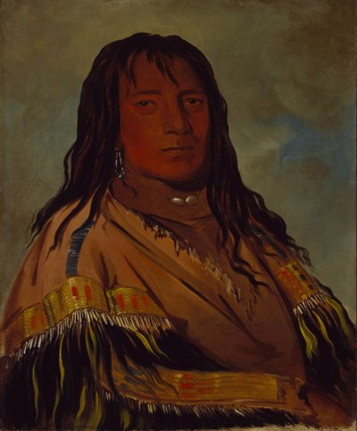 Chá-tee-wah-née-che, No Heart, Chief of the Wah-ne-watch-to-nee-nah Band by George Catlin