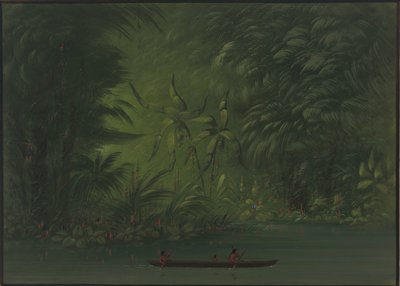 Entrance to a Lagoon, Shore of the Amazon by George Catlin