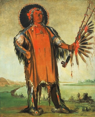 Ha-na-tá-nu-maúk, Wolf Chief, Head Chief of the Tribe by George Catlin