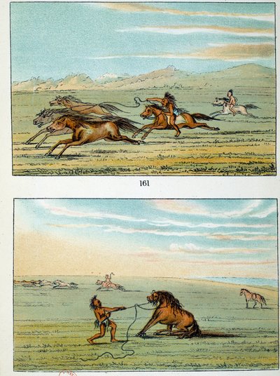 Indians of America: How to Catch Wild Horses. Illustration by George Catlin by George Catlin