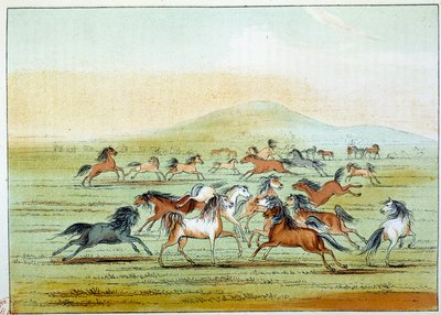 Indians of America: wild horses hunted by Indians. Illustration by George Catlin by George Catlin