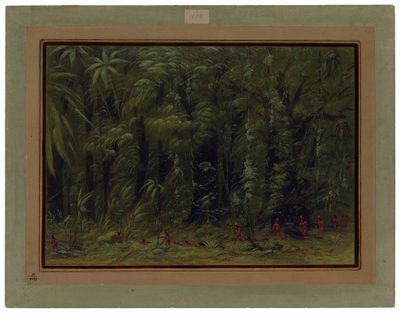 Interior of an Amazon Forest - Zurumati by George Catlin