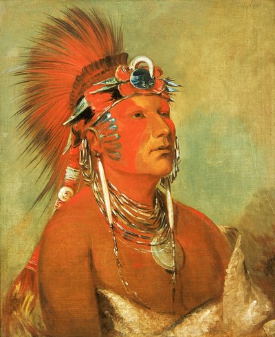 Jee-hé-o-hó-shah, Cannot Be Thrown Down, a Warrior by George Catlin