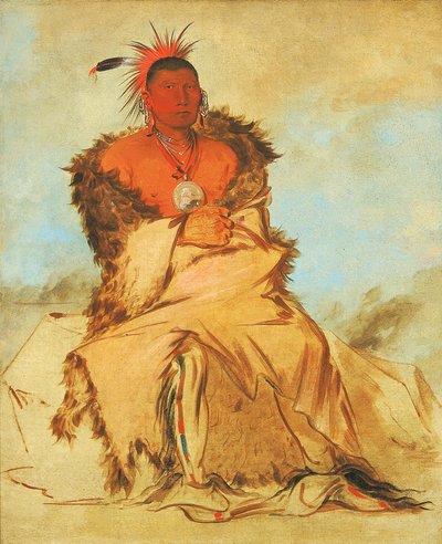 Loo-rá-wée-re-coo, Bird that Goes to War, a Tapage Pawnee by George Catlin