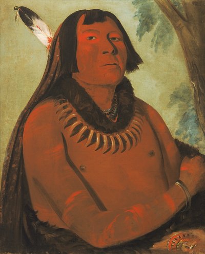 Mah-táhp-ta-a, Rushes through the Middle, a Brave by George Catlin