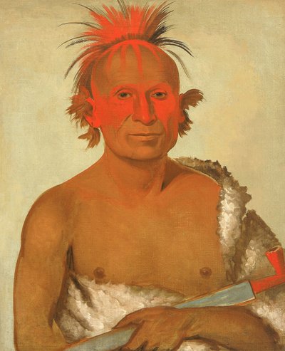 Pash-ee-pa-hó, Little Stabbing Chief, the Younger, One of Black Hawk