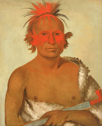 Pash-ee-pa-ho, Little Stabbing Chief, the Younger, One of Black Hawk