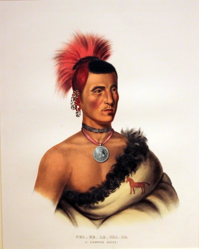 Pawnee Chief Pes Ke Le Cha Co by George Catlin