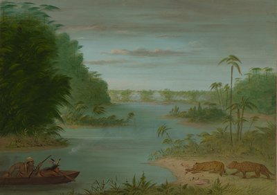 Pont de Palmiers and Tiger Shooting, 1854-1869 by George Catlin