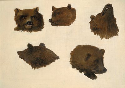 Portraits of Two Grizzly Bears, From Life, 1839-1840 by George Catlin