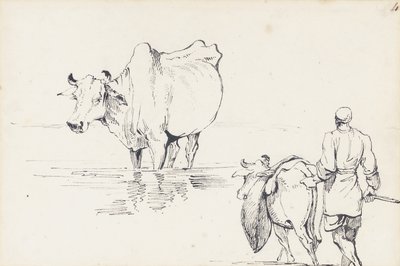Studies of Indian Cattle by George Chinnery