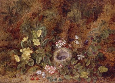 Still Life with Bird