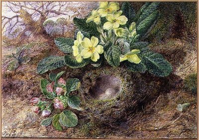 Still Life with Primroses and Birds Nest by George Clare