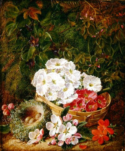 Still Life of Bird
