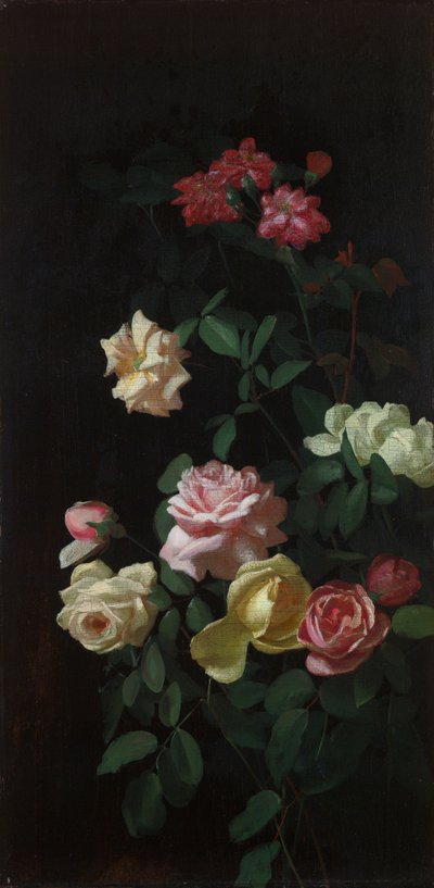 Roses by George Cochran Lambdin