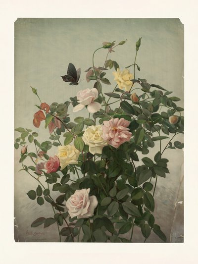 Roses by George Cochran Lambdin