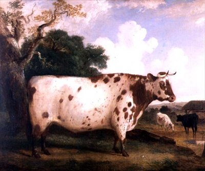 A Shorthorn Bull in a Landscape by George Cole