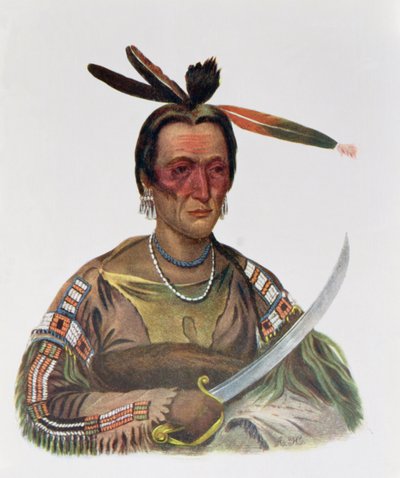 To-Ka-Cou, a Yankton Sioux Chief, 1837, Illustration from 