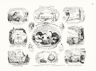 Odd Fish by George Cruikshank