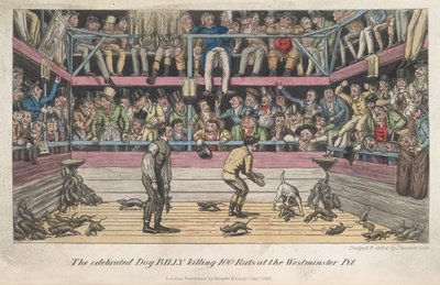 Rats Being Killed, 
