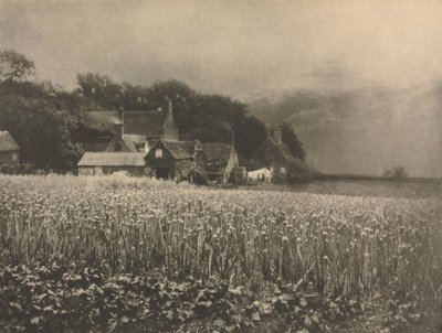 Camera Work: The Onion Field by George Davison