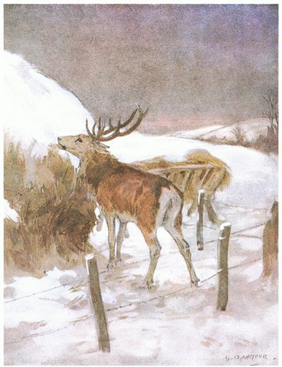 He soon discovered where the fodder was kept for the bullocks by George Denholm Armour