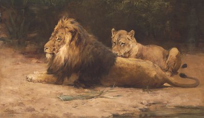 Lion and Lioness at Rest by George Denholm Armour
