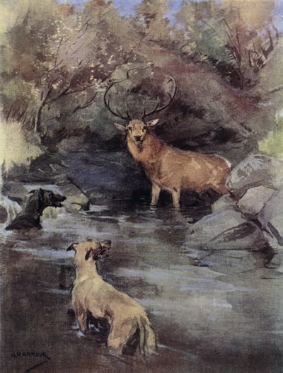 Stag at bay by George Denholm Armour