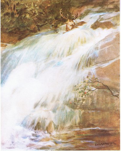 Throwing his head high in the air in a last act of defiance, he plunged into the waterfall by George Denholm Armour