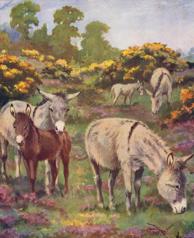 On a Common Were Five Donkeys by George Derville (after) Rowlandson