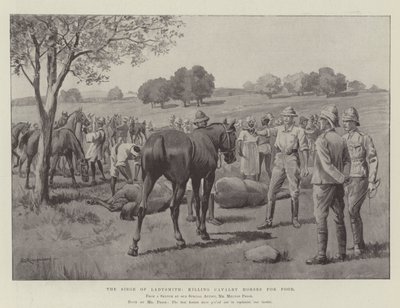 The Siege of Ladysmith, killing Cavalry Horses for Food by George Derville Rowlandson