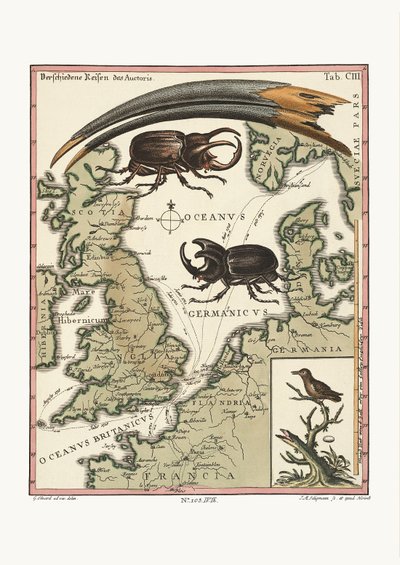 The Bill of the Aegyptian Ibis and the least Hummingbird, 1749-73 by George Edwards
