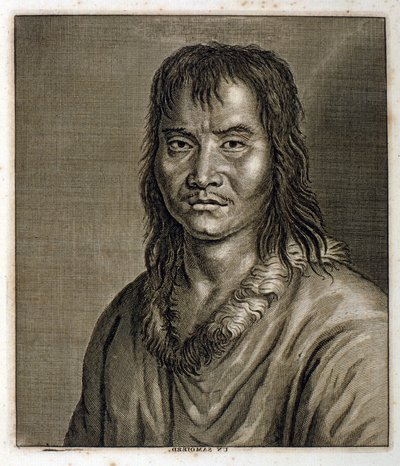 Watercolour Illustration of a Samoed by George Edwards