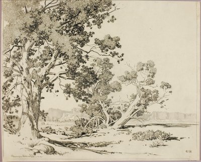 Untitled by George Elbert Burr