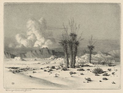 Evening, Arizona by George Elbert Burr