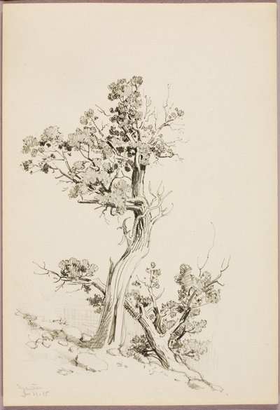 Manitou by George Elbert Burr