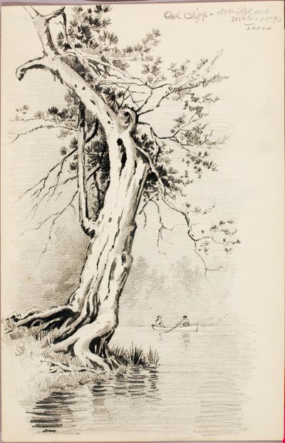Oak Cliff--Dallas by George Elbert Burr