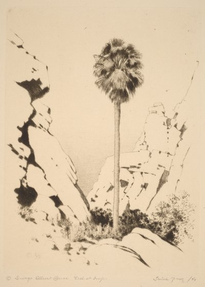Palm Canyon (no.1) by George Elbert Burr