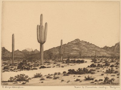 Road to Paradise Valley, Arizona by George Elbert Burr