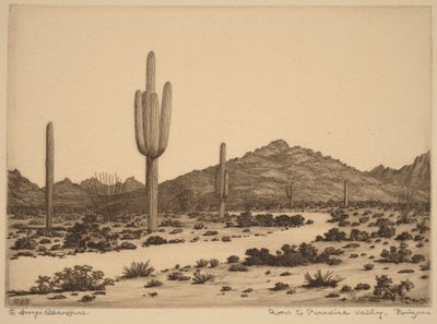 Road to Paradise Valley, Arizona by George Elbert Burr