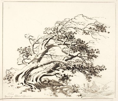 Sketch for Pines in Wind, Estes Park by George Elbert Burr