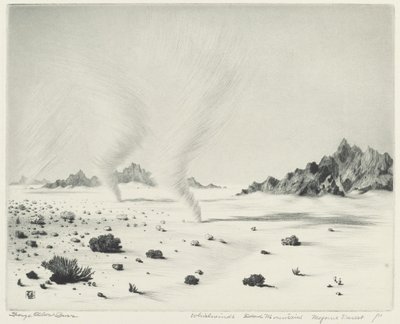 Whirlwinds, Dead Mountains, Mojave Desert, California by George Elbert Burr