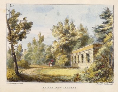 Aviary, Kew Gardens, plate 10 from Kew Gardens: A Series of Twenty-Four Drawings on Stone, engraved by Charles Hullmandel, published 1820 by George Ernest after Papendiek